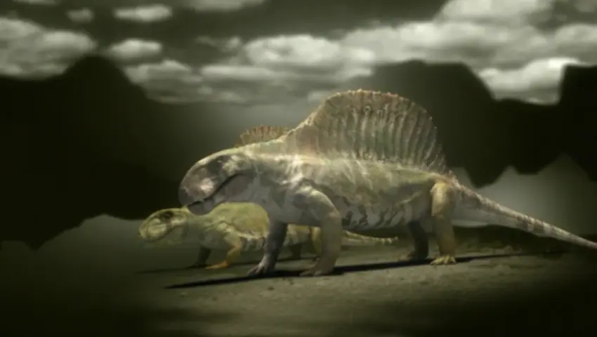 《与猛兽同行》第2集