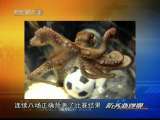 防务新观察 防务新观察 2010年 第70期