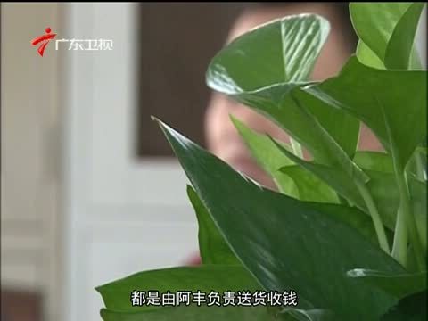 法眼 《法眼》 20141231 毒网