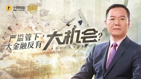 洪校长的投资课 洪榕：严监管下，大金融反有大机会？