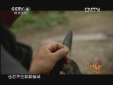 远方的家 北纬30°中国行 特别节目 动物家园《远方的家》 20121007
