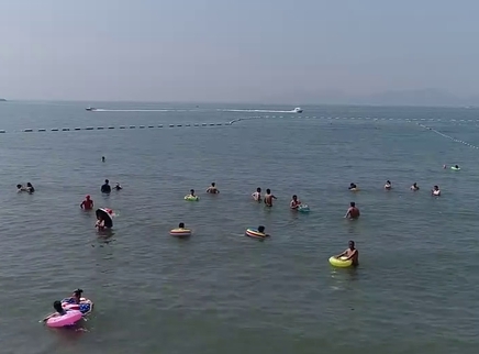 新闻大求真 平静的海面潜藏着什么危险？