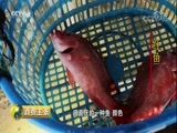 消费主张 《消费主张》 20180314 家乡的年味儿：广东潮汕