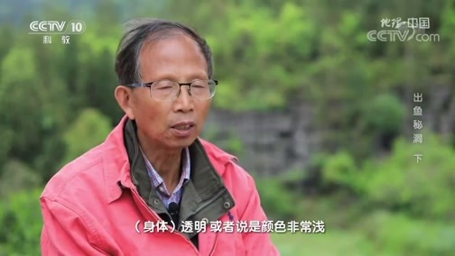 地理中国 《地理·中国》 20200519 出鱼秘洞 下