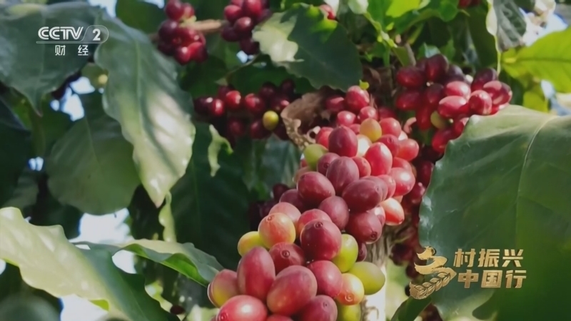 《乡村振兴中国行》第四季 20260227 农旅兴村 和美在途