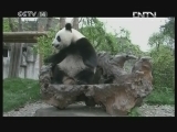 新闻袋袋裤 《新闻袋袋裤》 20121106