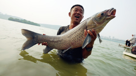 游钓中国 第三季 第24集 驰入苏北初探云龙湖 暴力玩法下水擒青