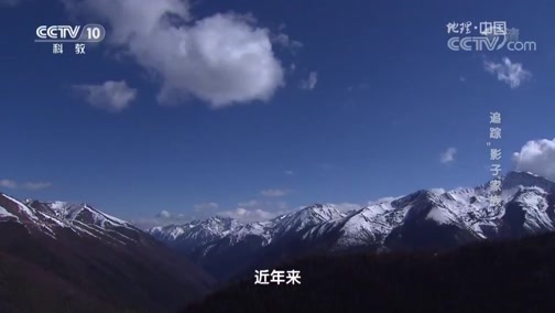 地理中国 《地理中国》 20190522 生物多样性日·追踪“影子家族”