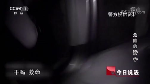 今日说法 《今日说法》 20200115 危险的“叶子”