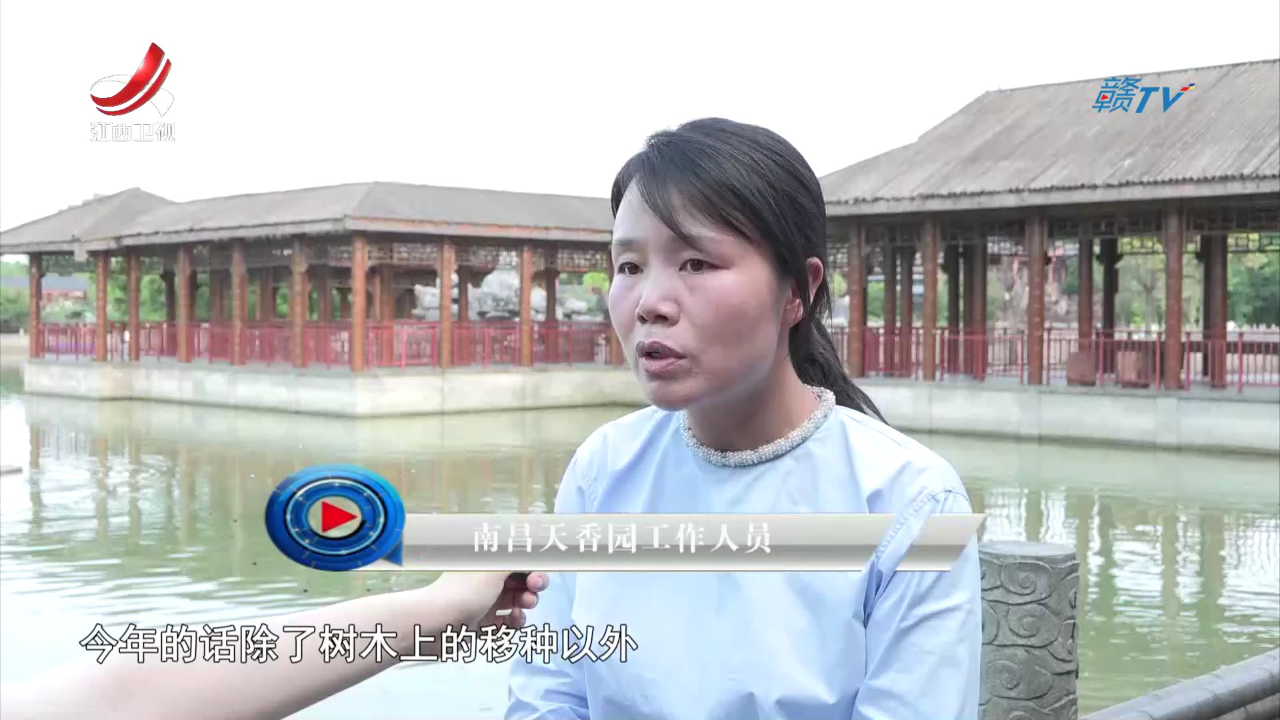社会传真 城市“鸟岛” 生态家园