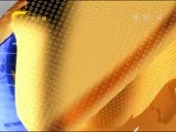 广西新闻 《广西新闻》 20151122
