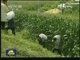 新闻联播 新闻联播完整版视频 20130823