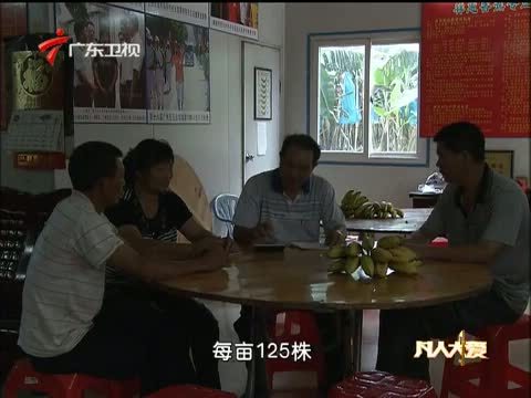 凡人大爱 《凡人大爱》 20140314 一起掘金吧——种蕉女皇的刘映惠故事