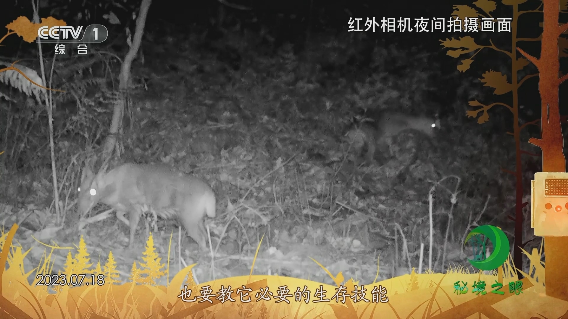 秘境之眼 《秘境之眼》 小麂 20231219