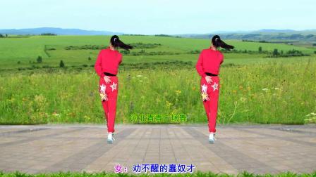 流行DJ广场舞及教学 第三季 广场舞《叫一声二奶奶》背面演示+分解