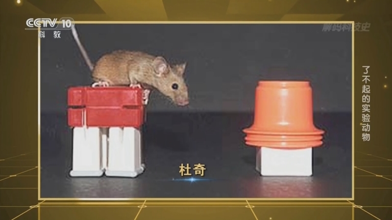 解码科技史 《解码科技史》 20260506 了不起的实验动物