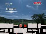 地理中国 《地理中国》 20110918 怪石坡之谜