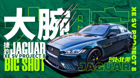 萝卜报告 2020 300万的捷豹XE 灵感来自冯小刚19年前的电影？