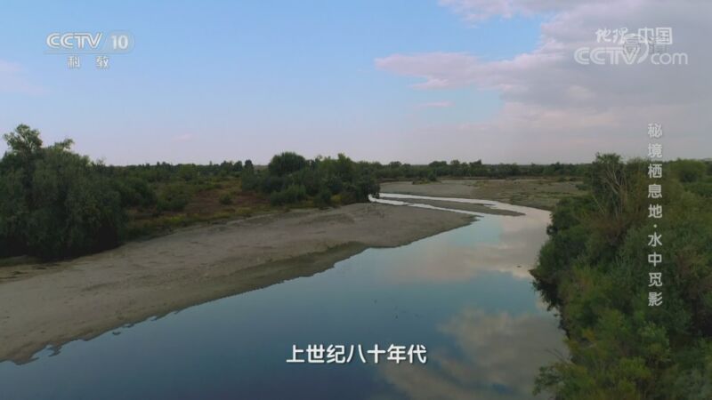 地理中国 《地理·中国》 20200927 秘境栖息地·水中觅影
