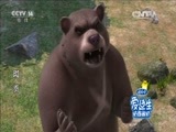 动漫世界 《动漫世界》 20160606