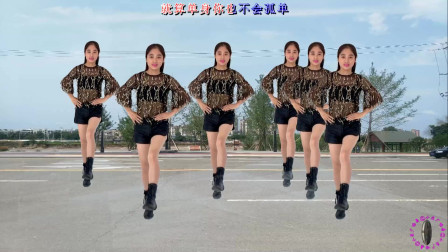 动感时尚广场舞 广场舞32步《踢了他》舞曲动听 歌词现实