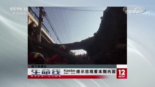 生命线 《生命线》 20191108