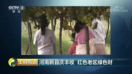 生财有道 《生财有道》 20181126 河南新县庆丰收 红色老区绿色财