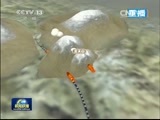新闻联播 《新闻联播》 20150321 21:00
