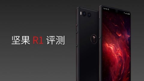 FView 坚果 R1 评测