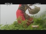消费主张 《消费主张》 20140714 酸甜最是家乡味 鱼生烤蛋鸭肉香