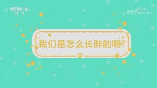 职场健康课 《职场健康课》 20190723 揭秘减肥密码