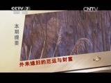 致富经 《致富经》 20150326 外来媳妇的厄运与财富