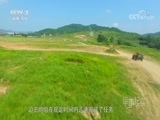 军事纪实 《军事纪实》 20180816 突击行动背后的故事