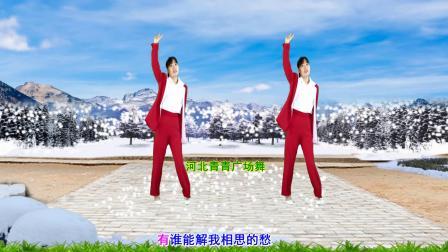 流行DJ广场舞及教学 第三季 火爆DJ广场舞《又是雪花飘落的时候》32步附分解