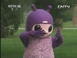 小小智慧树 《小小智慧树》 20131119