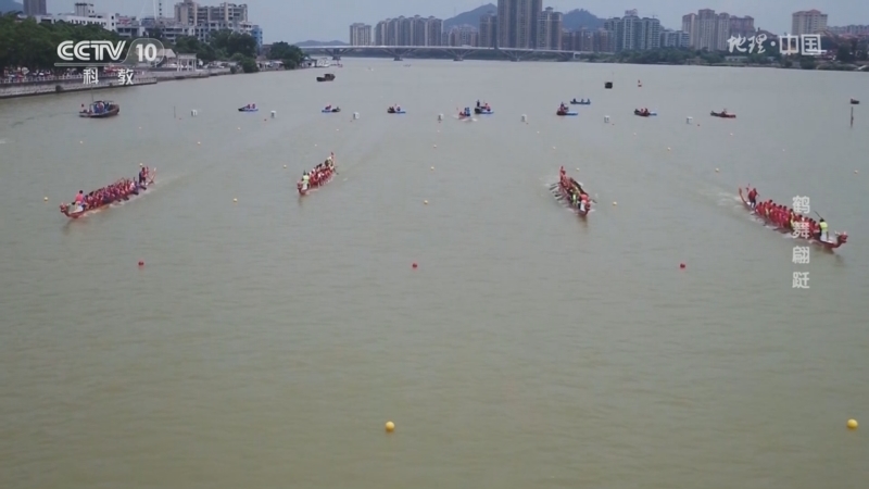 地理中国 《地理·中国》 20230624 人文地理奇观（一）16·鹤舞翩跹