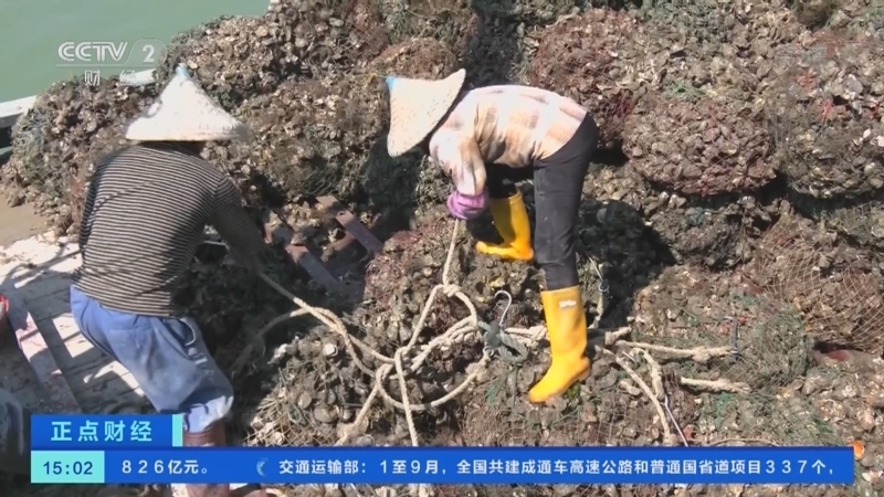 正点财经 《正点财经》 20221101 15:00
