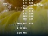 环球经济连线 《环球财经连线》 20170126