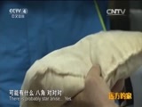 远方的家 《远方的家》江河万里行 第239集 湘江 文化古城 长沙味道 20150413