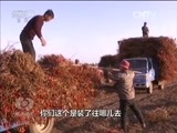 焦点访谈 《焦点访谈》 20161128 种植结构调整 怎么调/电动自行车 怎么管