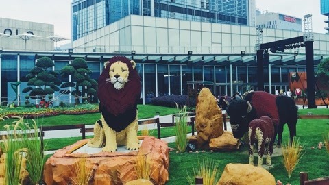 娱乐魔力可 IFS带你畅游乐高动物世界