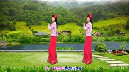 流行DJ广场舞及教学 第三季 感恩DJ广场舞《世上最苦是父母》32步附分解