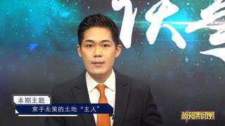 束手无策的土地“主人”