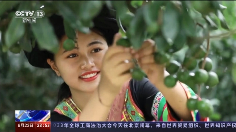 24小时 《24小时》 20230923