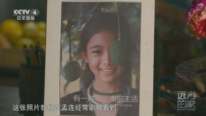 《远方的家》 20260505 山河锦绣看中国 茶乡普洱 多彩边城