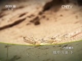 地理中国 《地理中国》 20160115 城中飞漠（下）