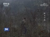 见证 《见证》 20180514 十年了，你在哪里（三）停不下来