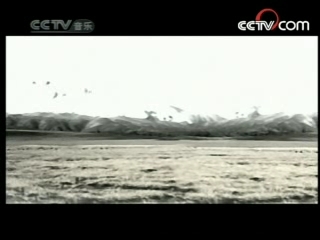 民歌&middot;中国 民歌·中国 2008年 第95期