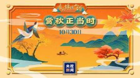 漫山红透层林尽染 共赏山河“醉”美秋色