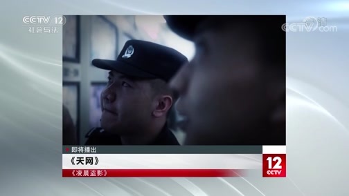 天网 《天网》 20200520 凌晨盗影